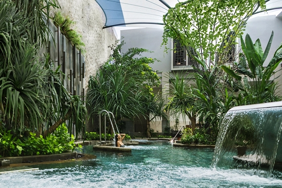 Hydro Vital Pool The Ritz-Carlton Hydro Vital Pool The Ritz-Carlton