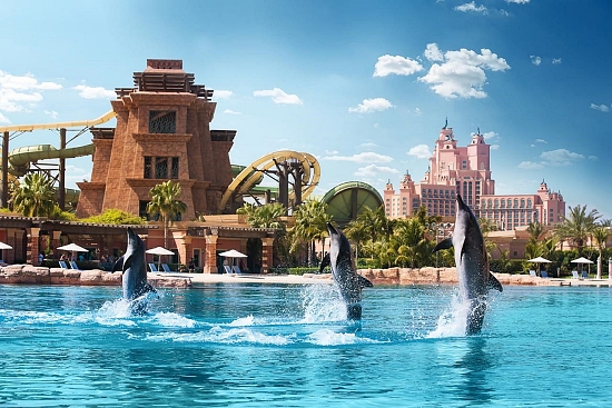 Delfinarium w Atlantis The Palm Delfinarium w Atlantis The Palm
