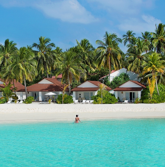 Bungalowy przy plaży Bungalowy przy plaży