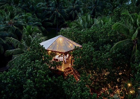 Prywatna kolacja nad palmami Prywatna kolacja nad palmami