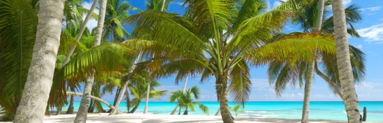 Plaża Punta Cana Plaża Punta Cana