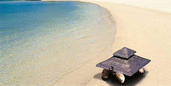Na plaży Constance Lemuria Seszele Na plaży Constance Lemuria Seszele
